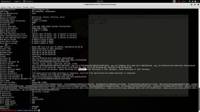 Curso de extraccion y modificación de metadatos. Video 2. Exiftool смотреть онлайн