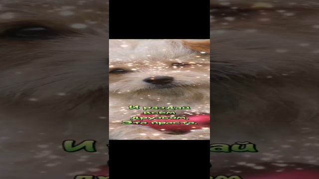 #Видеоролик заговоренный на счастье и здоровье💯🙏😇👍 смотреть онлайн