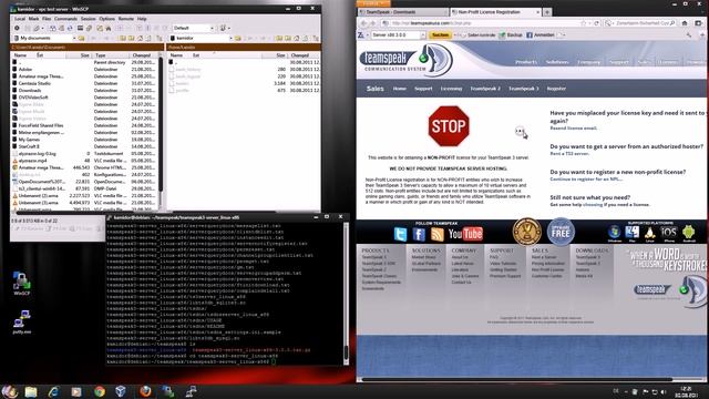 TS3 Server auf Linux Root-VServer installieren (512 Slot) смотреть онлайн