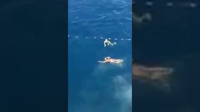 Un tuffo dove il mare è più blu! by Federica Pellegrini e Filippo Magnini a Capri смотреть онлайн