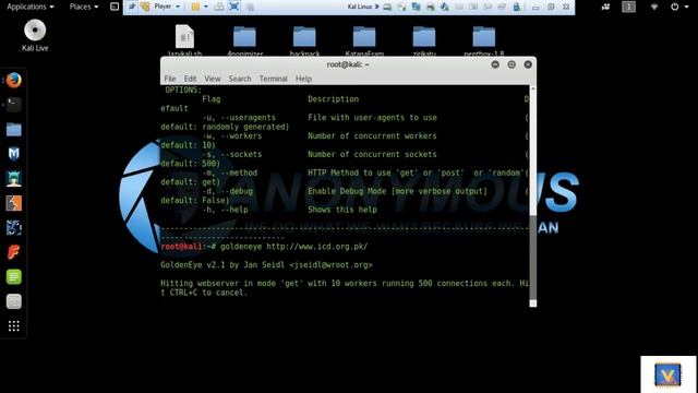 Dos Attack Using Kali Linux смотреть онлайн