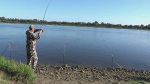 Лещ на Сало Осенью! Карасищи на Поплавок в Октябре! Рыбалка на реке!