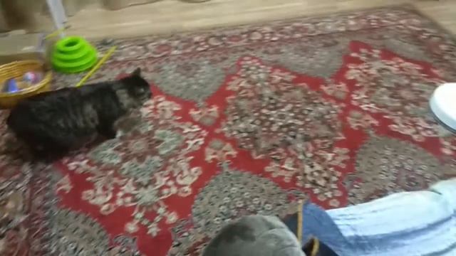 пылик сяоми 1С смотреть онлайн