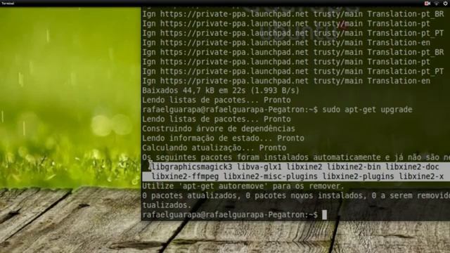 Curso de Linux Ubuntu - 46 - Removendo programas padrões que não usamos Xine e Thunder Bird смотреть онлайн
