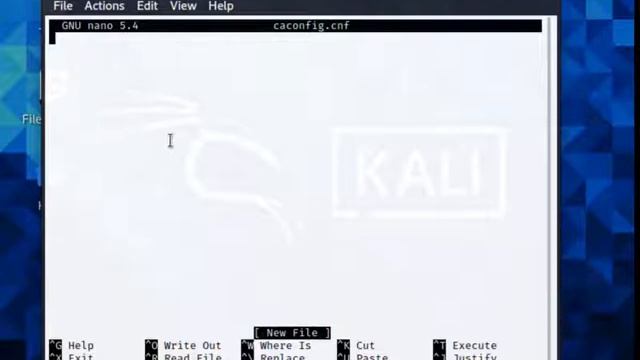 Practica OpenSSL en Kali Linux смотреть онлайн