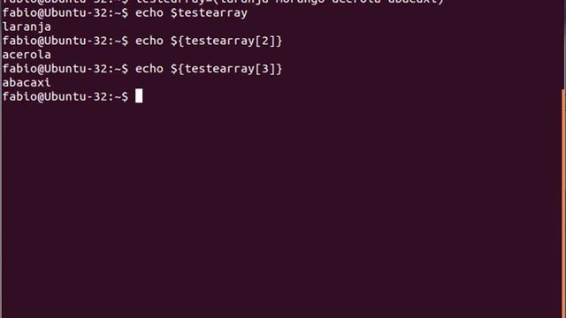 Shell Scripting - Arrays - Variáveis de Ambiente com múltiplos valores - 03 - Linux смотреть онлайн