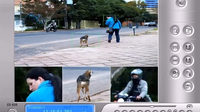 Geovision NVR Software смотреть онлайн