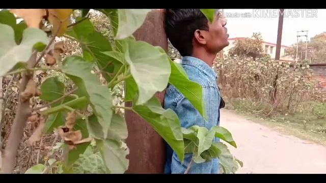 Hai Dil ye mera full video song l Amit kumar Bind l hate story 2 смотреть онлайн
