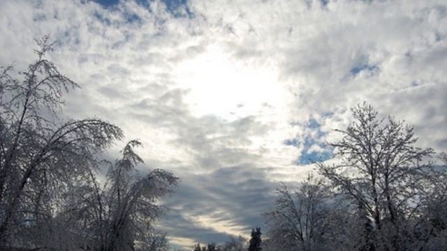 ♥ ♫ ♪ Bette Midler: A Dream Is A Wish Your Heart Makes, Album/Studio Version HQ ♥ ♫ ♪ смотреть онлайн