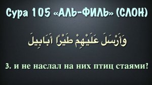 Сура 105 аль-Филь (арабские и русские титры) - Мухаммад Люхайдан