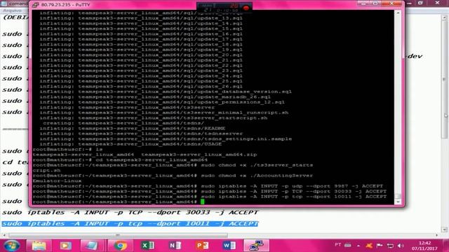 [VPS Linux] - Como Instalar Teamspeak 3 [ 32& 64 bit-Slots Ilimitados-Versão recente 3.0.13.4/2019 смотреть онлайн