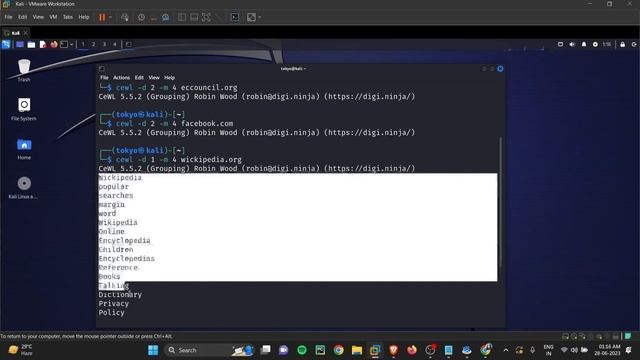 Footprinting using Sherlock, Web data extractor, NSlookup, Whois, DNSrecon, CEWL | CEH Practical смотреть онлайн