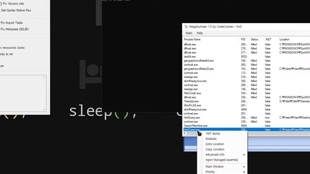 C# Practice, Anti-Dumper смотреть онлайн