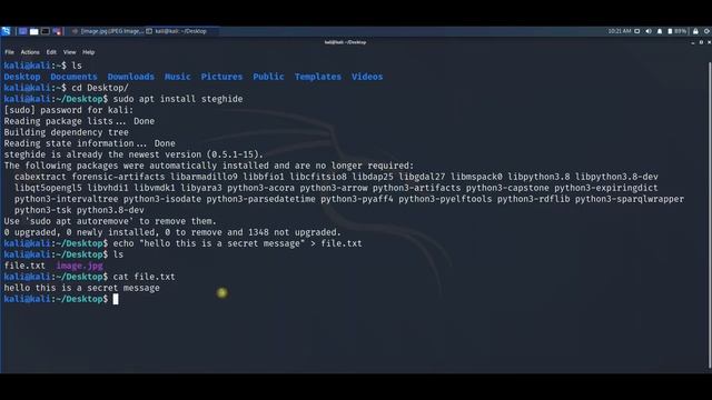 Hide Secret Message In Image using Steghide Tool.🔥 смотреть онлайн