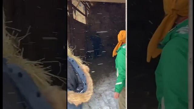 Благотворительный четверг смотреть онлайн