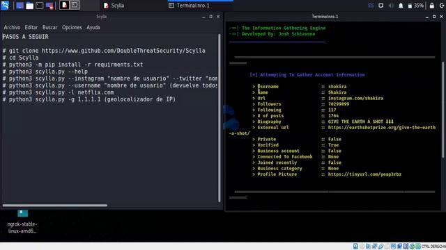 Osint con Scylla - Hacking Etico 🔍 смотреть онлайн