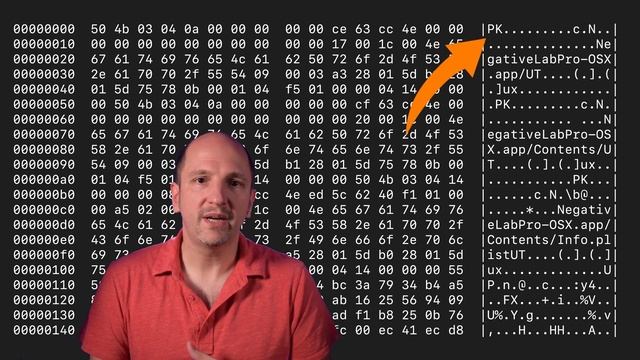 What is Data? Part 1, File Formats and Intent смотреть онлайн