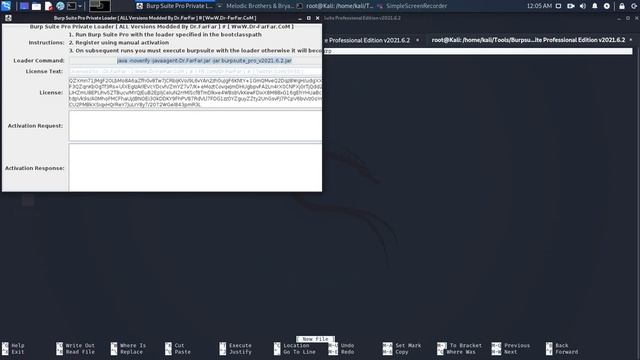 BurpSuite Professional смотреть онлайн