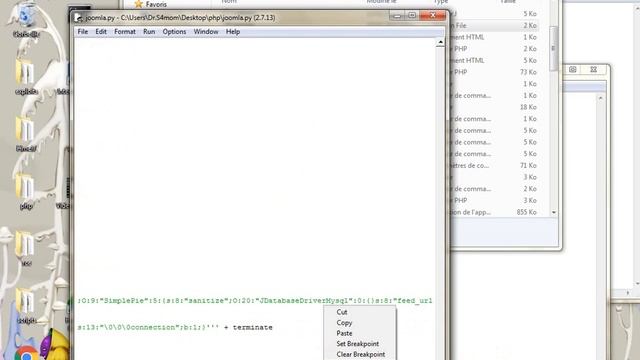 auto exploit rce vuln 2017 смотреть онлайн