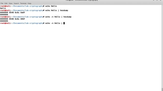 Introduction to Hashing Using Command Line in Linux смотреть онлайн