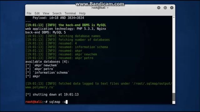 Sqlmap Injections Using Kali Linux смотреть онлайн