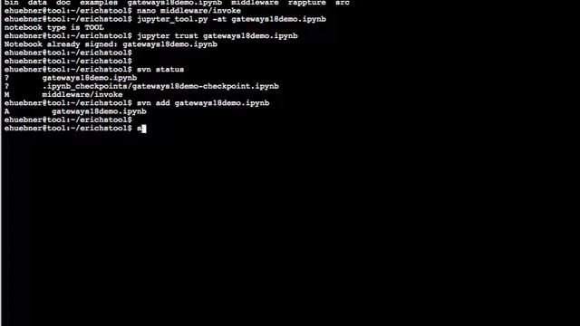 Svn Commit смотреть онлайн