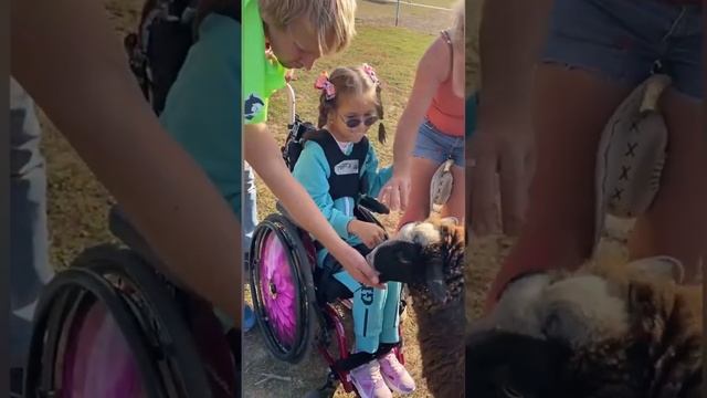 Встреча участников и волонтёров программы «Учимся дружить и полноценно жить!» смотреть онлайн