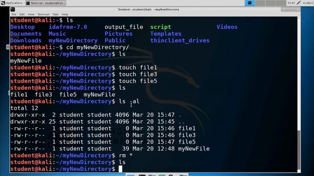 Removing Files and Directories смотреть онлайн
