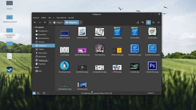 Linux Mint 20 my Review after 1 month of usage смотреть онлайн