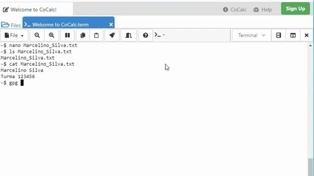 Videoaula de GPG com emulador de terminal Linux online смотреть онлайн