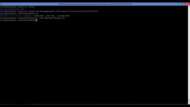 Backup / Restore de Cópia Local em Linux смотреть онлайн