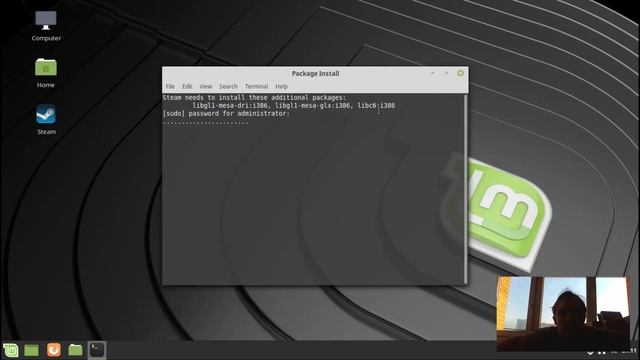 How to install Steam on Linux Mint 19.1 смотреть онлайн