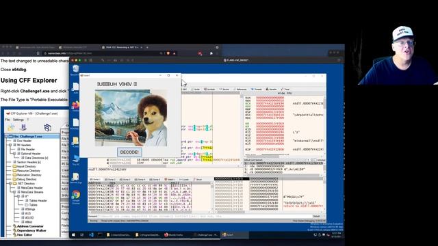 Reversing a .NET Executable смотреть онлайн