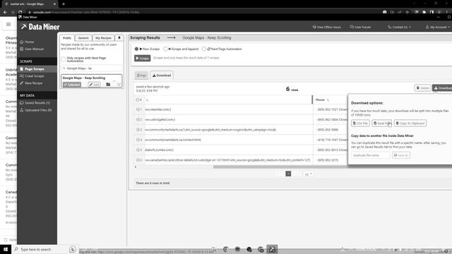 How to use Data Miner to gain leads for SMMA Cold Calling смотреть онлайн