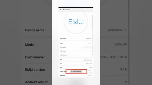 how to enable developer mode on anyphone смотреть онлайн