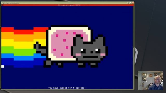 Install And Run Nyancat In Linux Mint смотреть онлайн