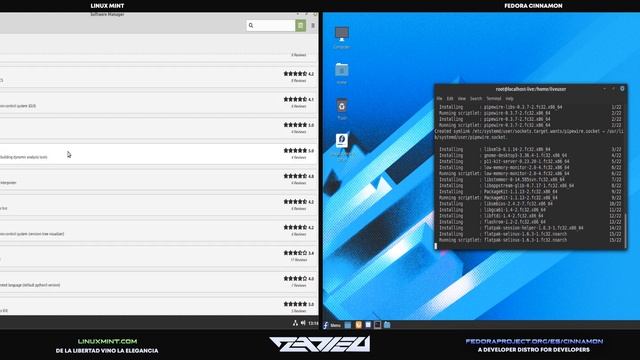 Linux Mint Cinnamon VS Fedora Cinnamon Spin