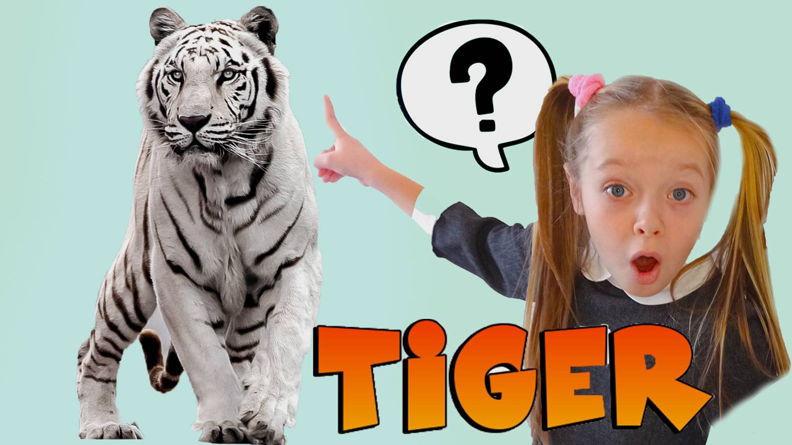 Белый тигр Мир дикой природы Полина рассказывает об уникальном животном