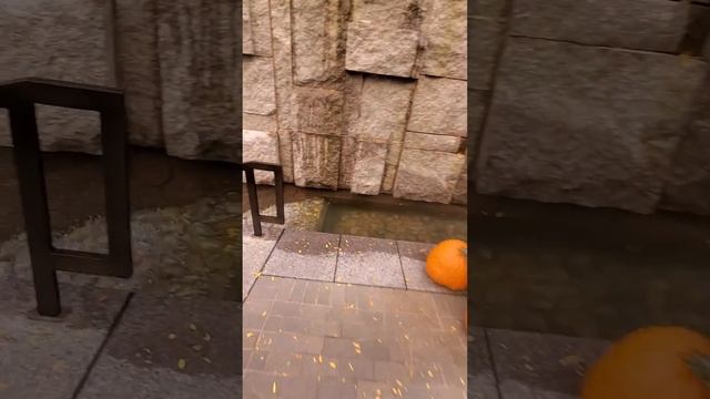 Surprise Hidden Park with Waterfall in NYC смотреть онлайн