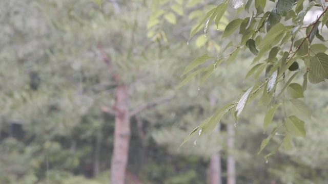 Журнал кемпинга . Сильно небо пронизанное дырой . Интенсивная осадка смотреть онлайн