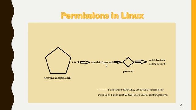 Setuid - Special Permissions in Linux смотреть онлайн