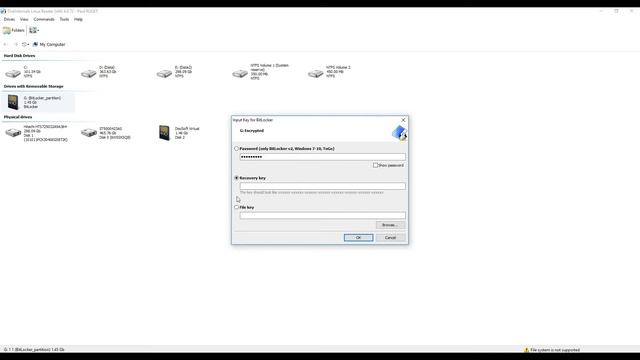Opening Bitlocker in Diskinternals Linux Reader Pro смотреть онлайн