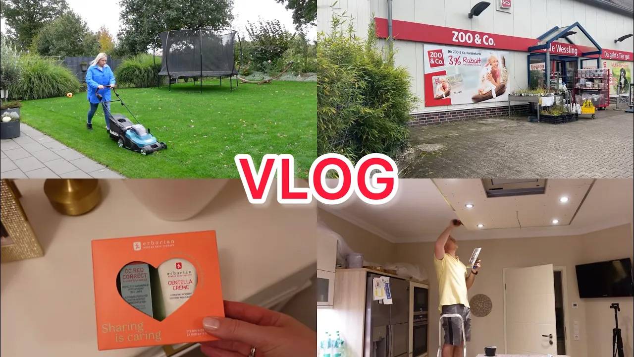 VLOG🇩🇪: РЕМОНТ ПРОДОЛЖАЕТСЯ/ КУПИЛА НОВЫЙ КРЕМ/ ПОЕХАЛИ ЗА НОВЫМ ЖИВОТНЫМ 🙈 смотреть онлайн