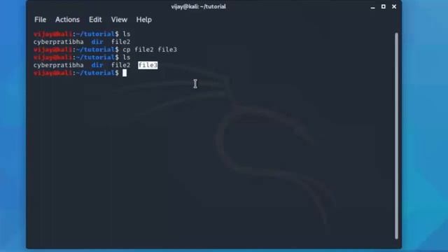 Basic Kali Linux commands Tutorial for Beginners Part 2 смотреть онлайн