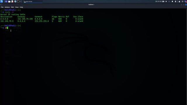 Come trovare il "Default Gateway" con Terminale Linux смотреть онлайн