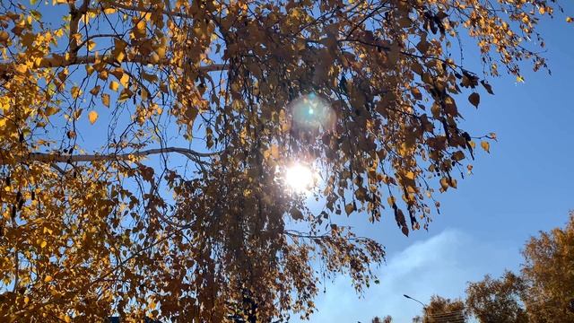 918. 🎼. Павел Соколов – «Скоро осень, господа» смотреть онлайн