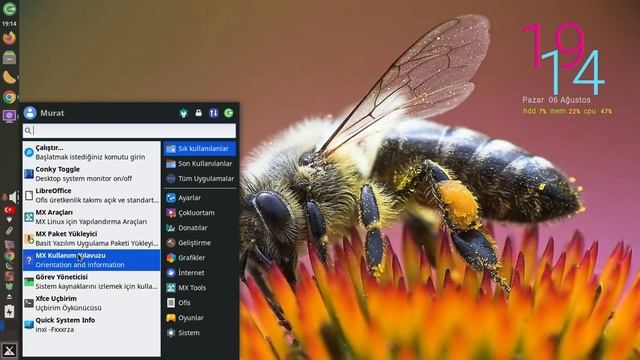 MX Linux 21.3 WildFlover Masaüstü İnceleme смотреть онлайн