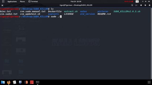 SUDO Killer - CVE-2019-14287 Controlla vulnerabilità comando SUDO Linux sul tuo Pc смотреть онлайн