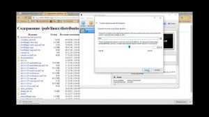 [DSL (Damn Small Linux)] Installation on VirtualBox