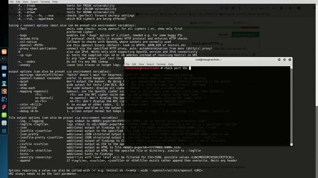TestSSL - SSL & TLS Penetration Testing смотреть онлайн